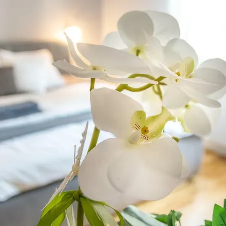 Inwentia Apartament Apartment